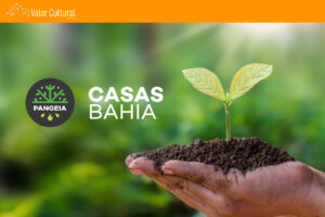 Bahia e Pangeia: Essas Casas Uniram o Melhor de Dois Mundos Para Um Comércio Sustentável